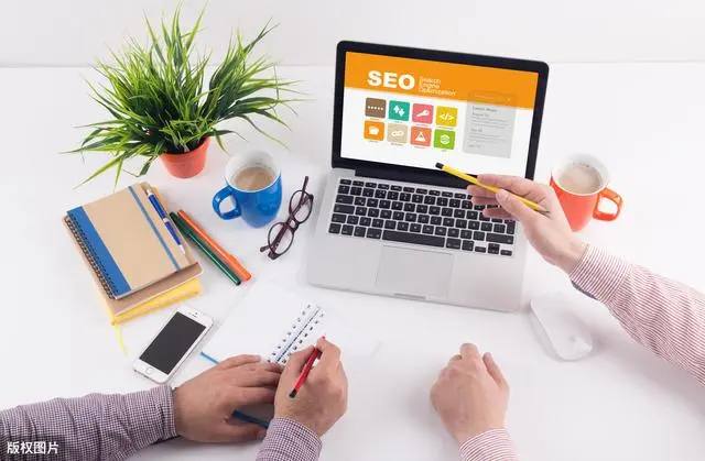 把金毛舔到生气的萨摩耶